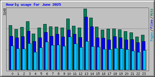 Hourly usage for June 2025