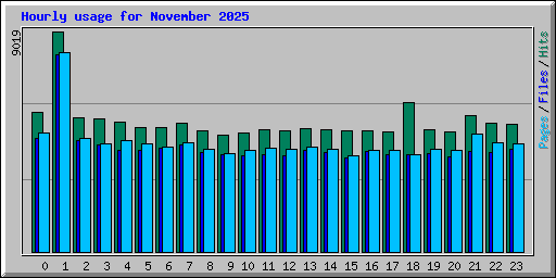 Hourly usage for November 2025