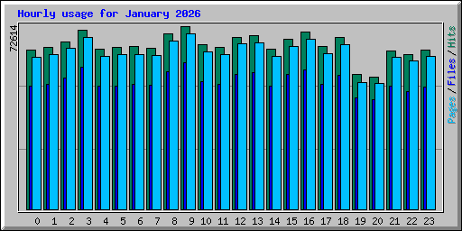 Hourly usage for January 2026