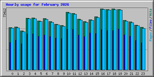 Hourly usage for February 2026