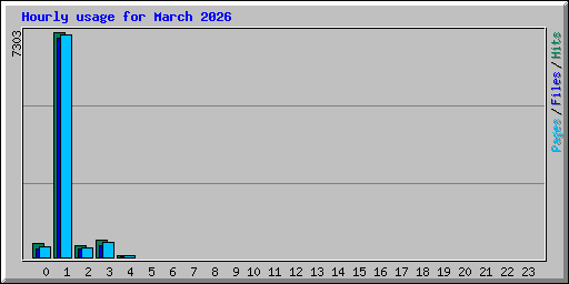 Hourly usage for March 2026